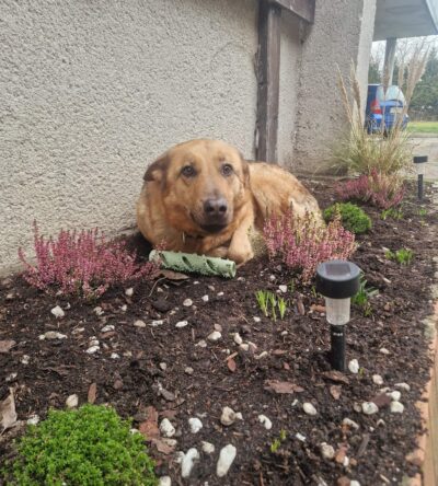 631380073_122116542867165669_7418832303017084207_n