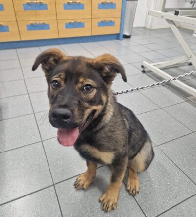 634096821_122116912155165669_8594443329384738325_n