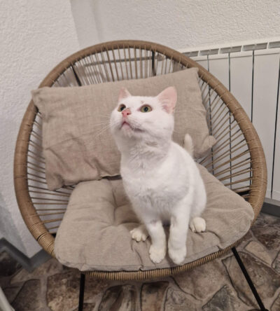 639628485_122117766009165669_6296753755218975529_n