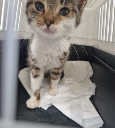 646362415_122119519059165669_5326521845505808275_n